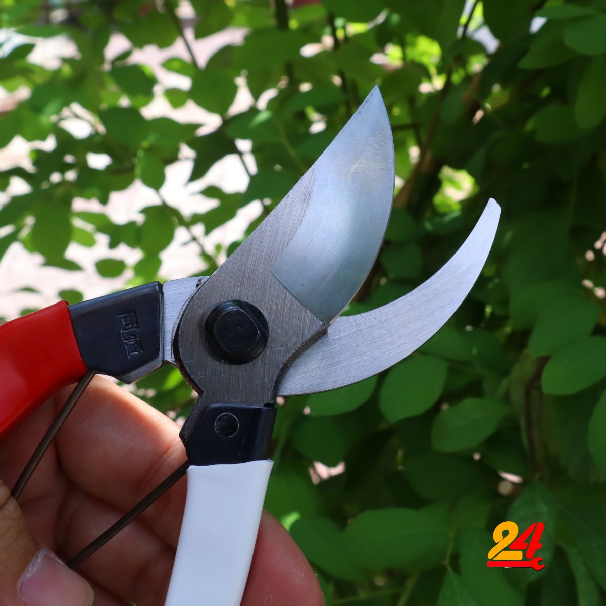 Kéo cắt cành nội địa nhật OKATSUNE [made in japan]