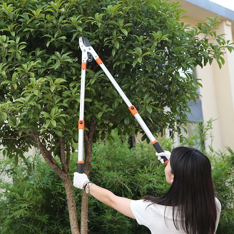Kéo cắt cành lớn to trên cao
