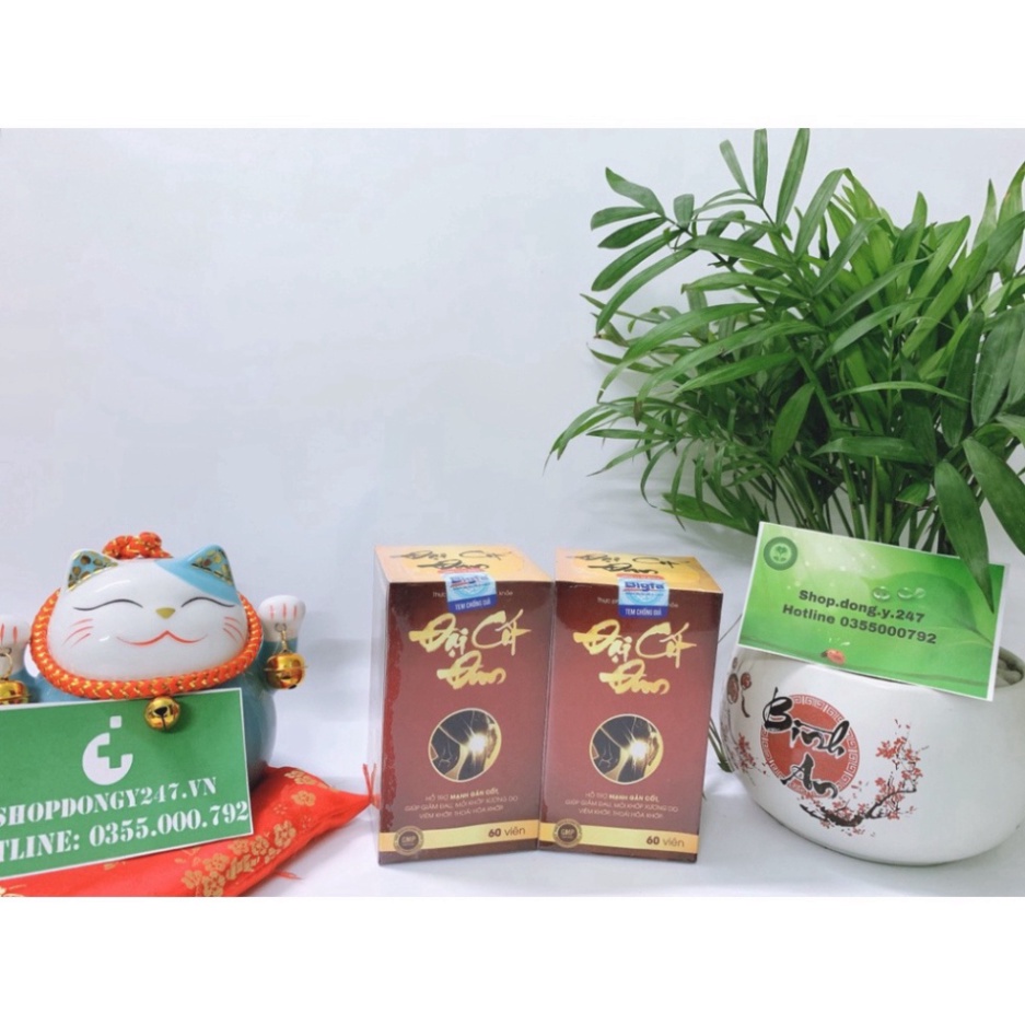 ✅ ĐẠI CỐT ĐAN 👍 ❤️ Lựa Chọn Cho Người ĐAU NHỨC XƯƠNG KHỚP