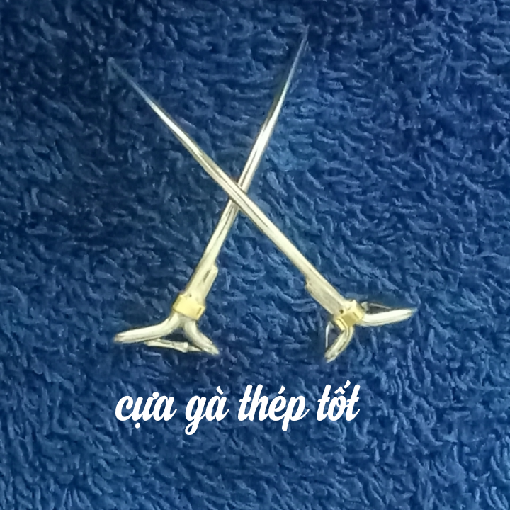 [HCM]cựa gà nòi 61 THÉP mỹ 2.5 THÔNG MÀNH  BỌC ĐỒNG VÀ HÀN ĐẾTâm cựa
