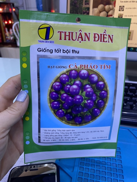 Hạt giống cà pháo tím gói 1g giá rẻ
