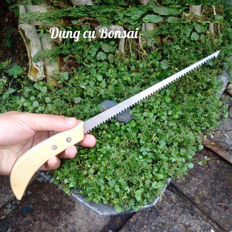 Cưa mini cưa cành trong vị trí hẹp - C99
