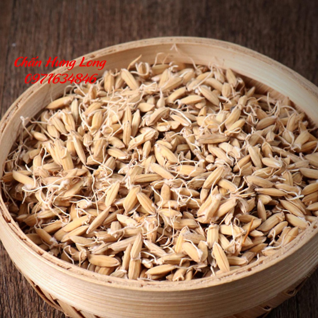 Mạch Nha 100g - đông y chấn hưng long