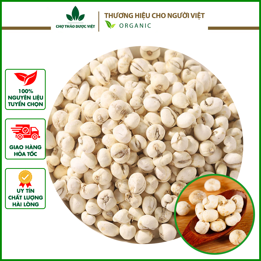 300g Xuyên Bối Mẫu (Bối Mẫu Tứ Xuyên)