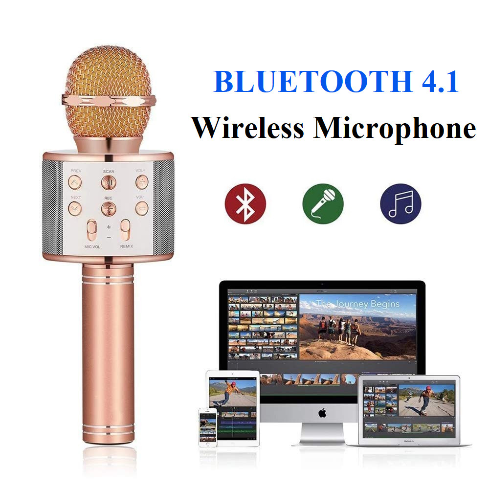 Micro Hát Karaoke Bluetooth Kèm Loa 858