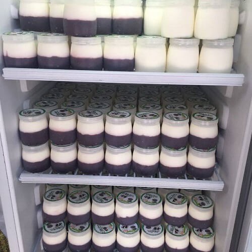 Combo 10 Hũ Sữa Chua Nhựa 160ml