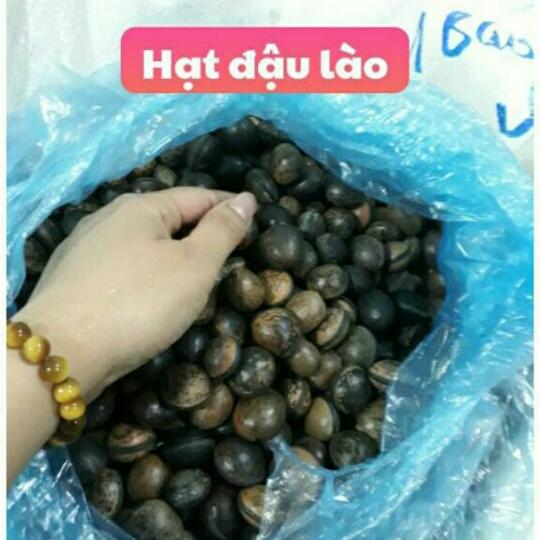 hạt đậu lào 100g