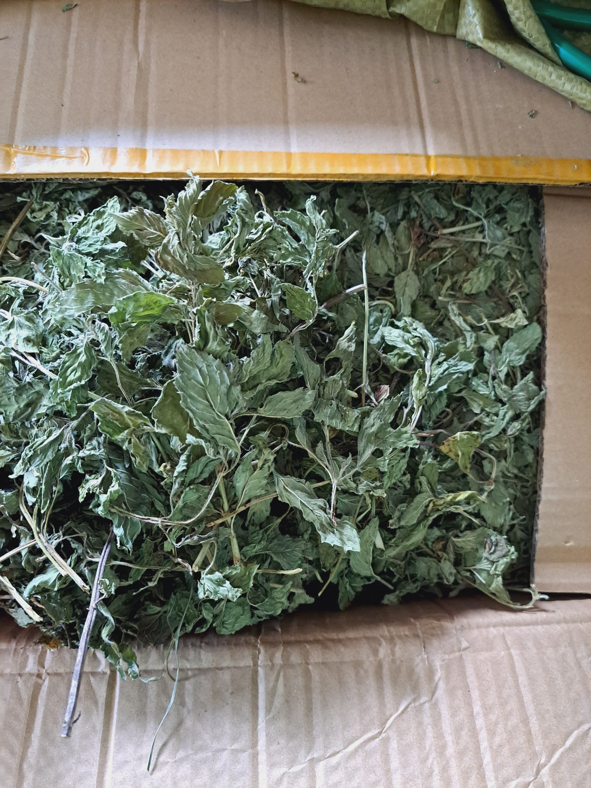 Bạc Hà Sấy Khô (Trà Bạc Hà) Lon 100Gram
