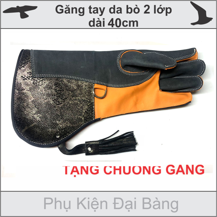 Phụ kiện nuôi chim đại bàng