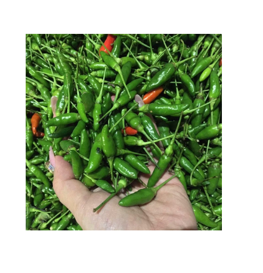 Ớt xiêm xanh tươi 100g