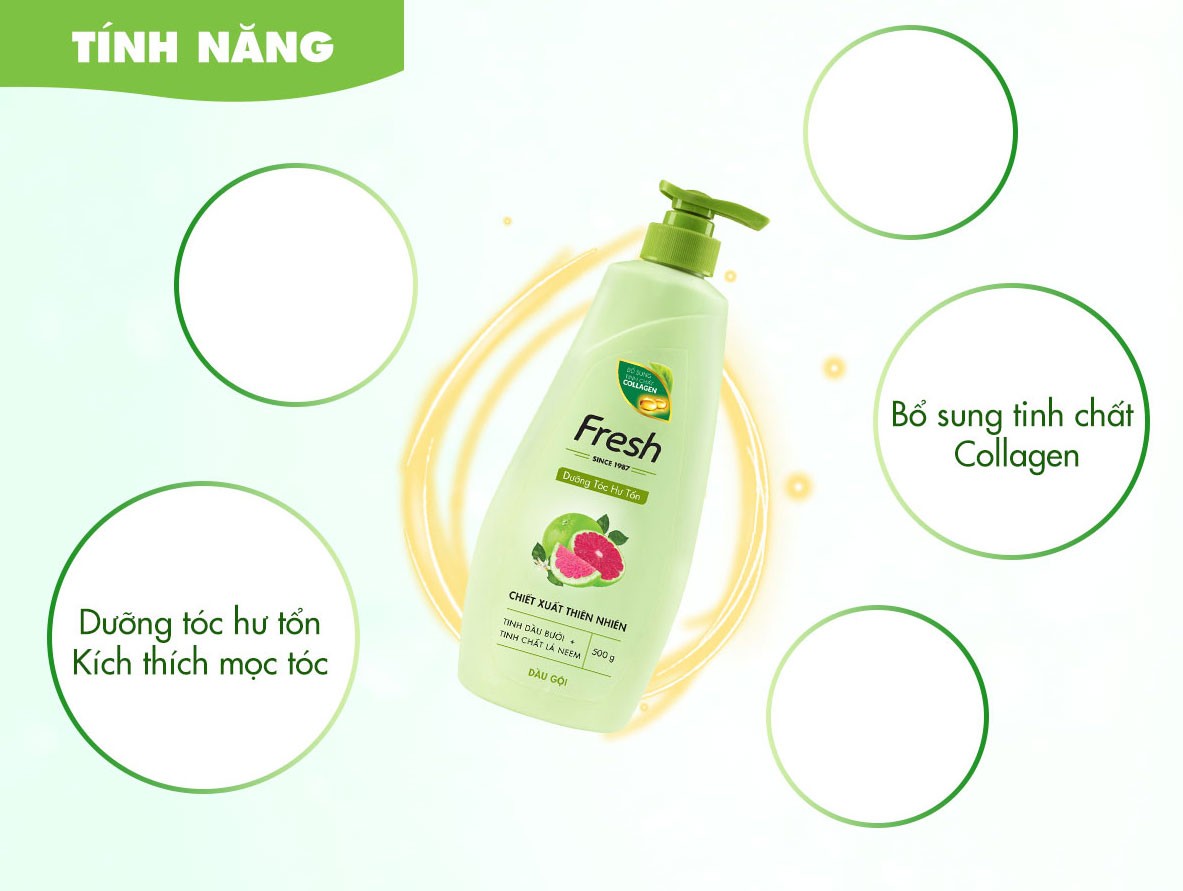 [HCM]Dầu Gội fresh tinh dầu bưởi 550g