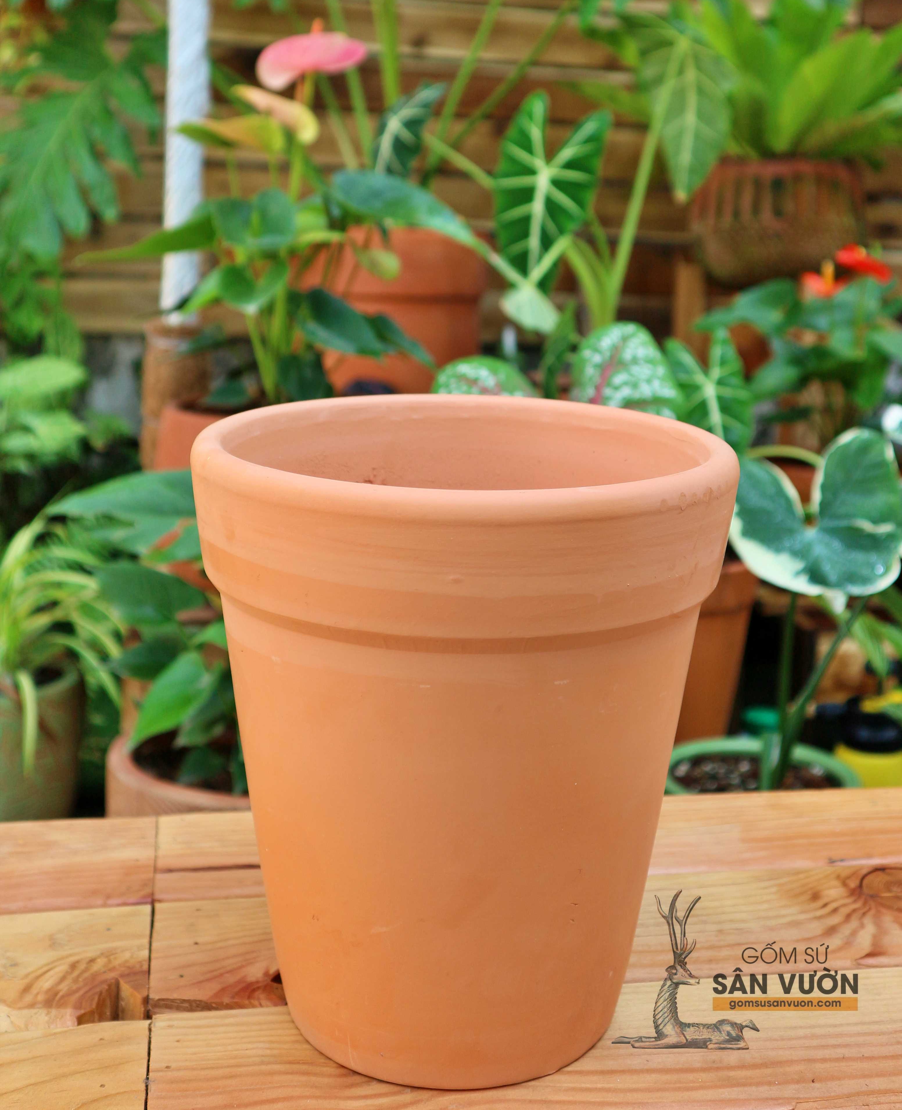 Chậu Gốm Đất Nung Ly Gờ Size 19 cm - Gốm Sứ Sân Vườn