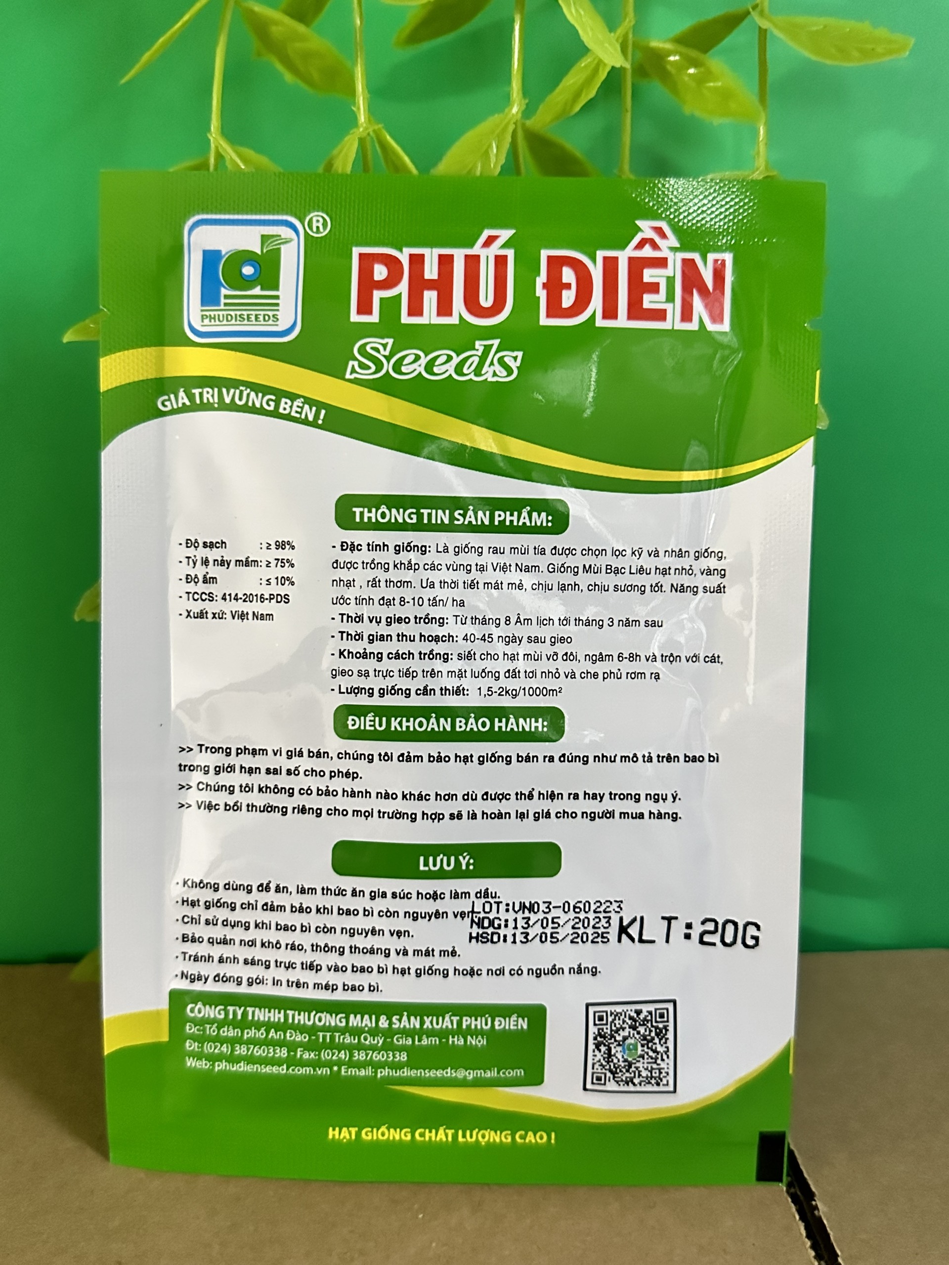 Hạt giống rau mùi ( Ngò) Bạc Liêu