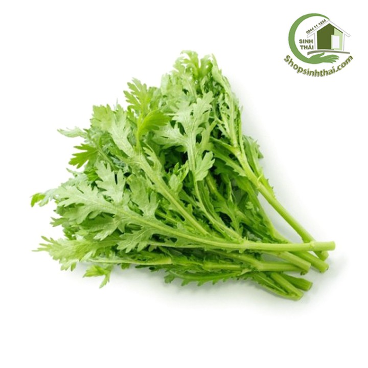 [HCM]Hạt giống rau tần ô - rau cải cúc