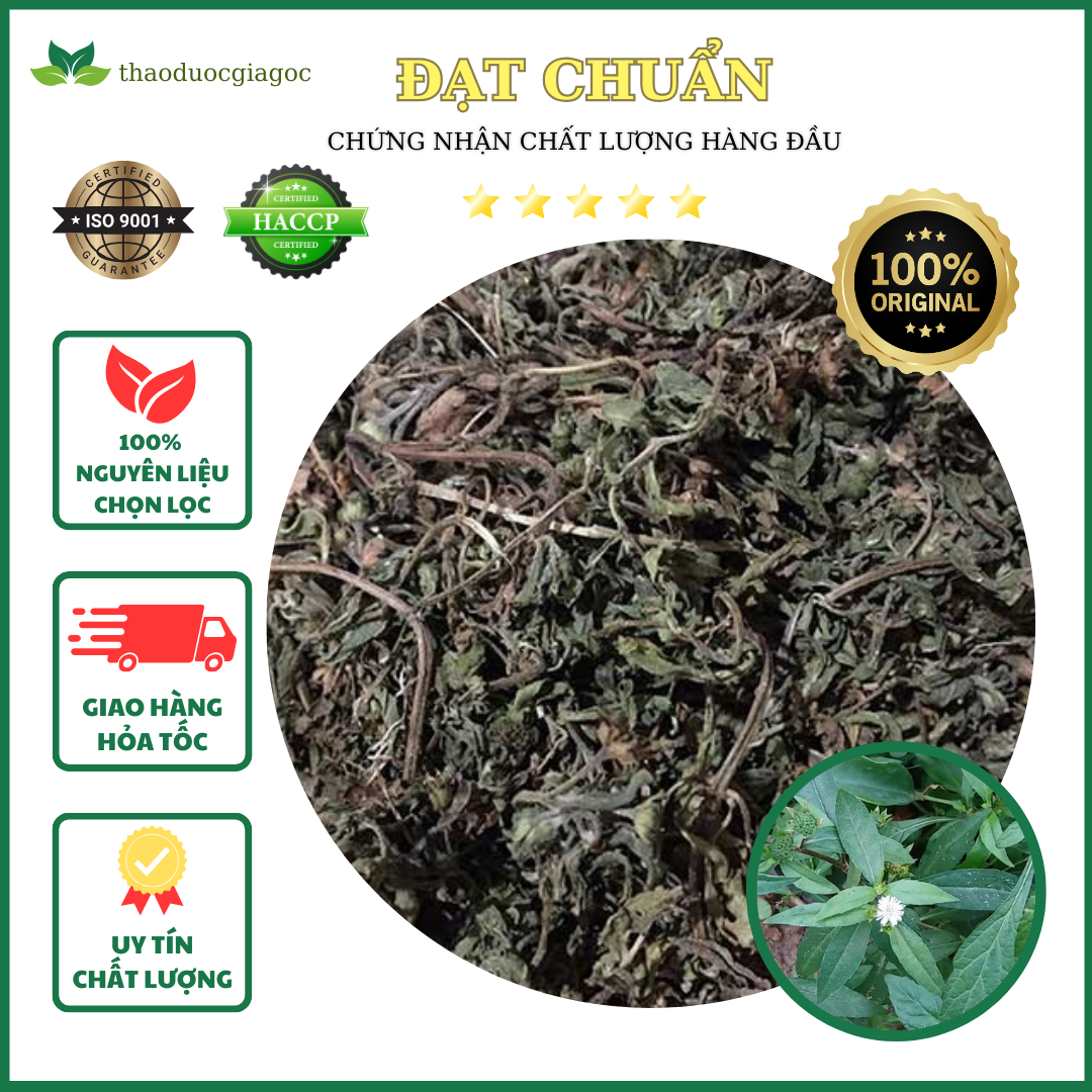 2Kg Cỏ Mực Nhọ Nồi [ Cành lá khô sạch đẹp ]