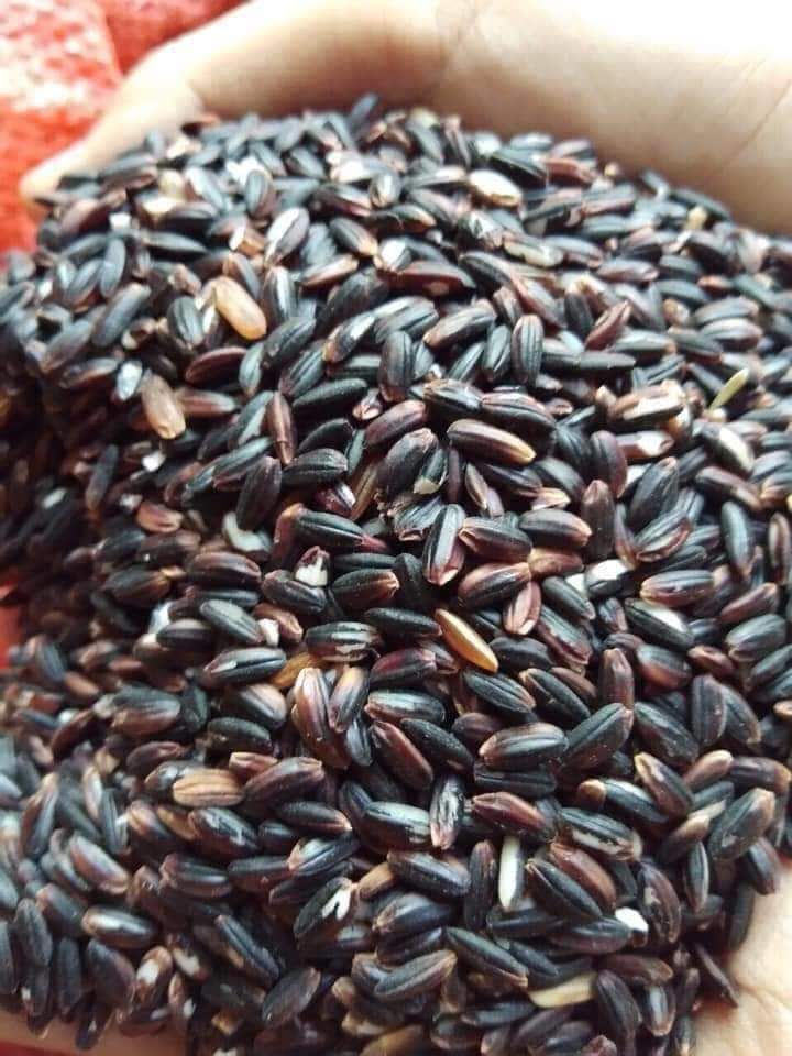 Gạo nếp Cẩm 5Kg