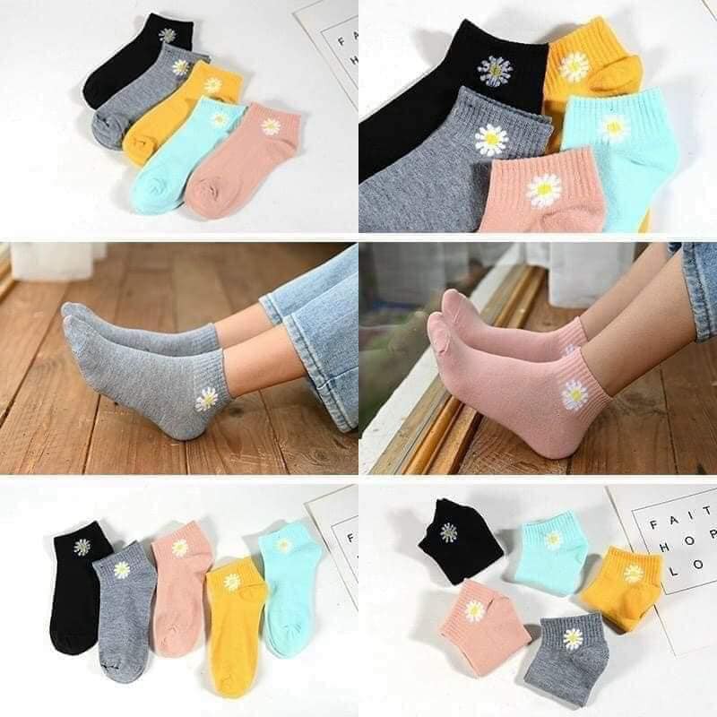 Combo 10 đôi TẤT HOA CÚC HOTTREND