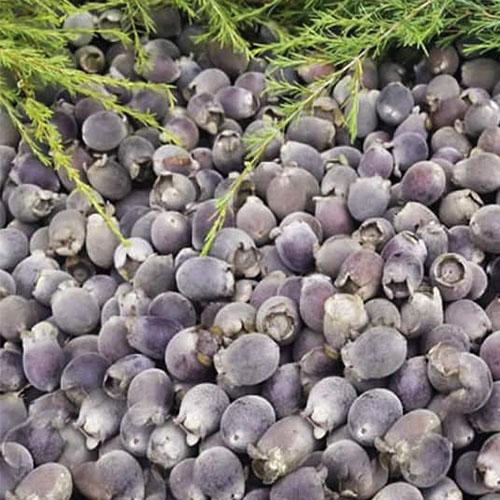 Quả sim rừng khô - 1kg