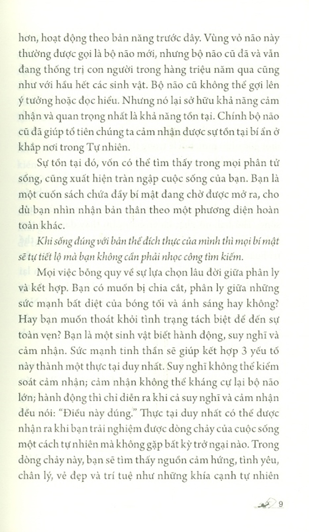 Cuốn Sách Của Những Bí Mật