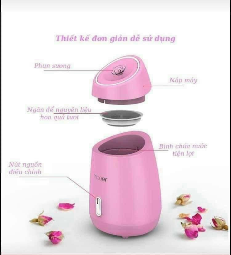 Máy xông mặt hoa quả - may xong mat hoa qua