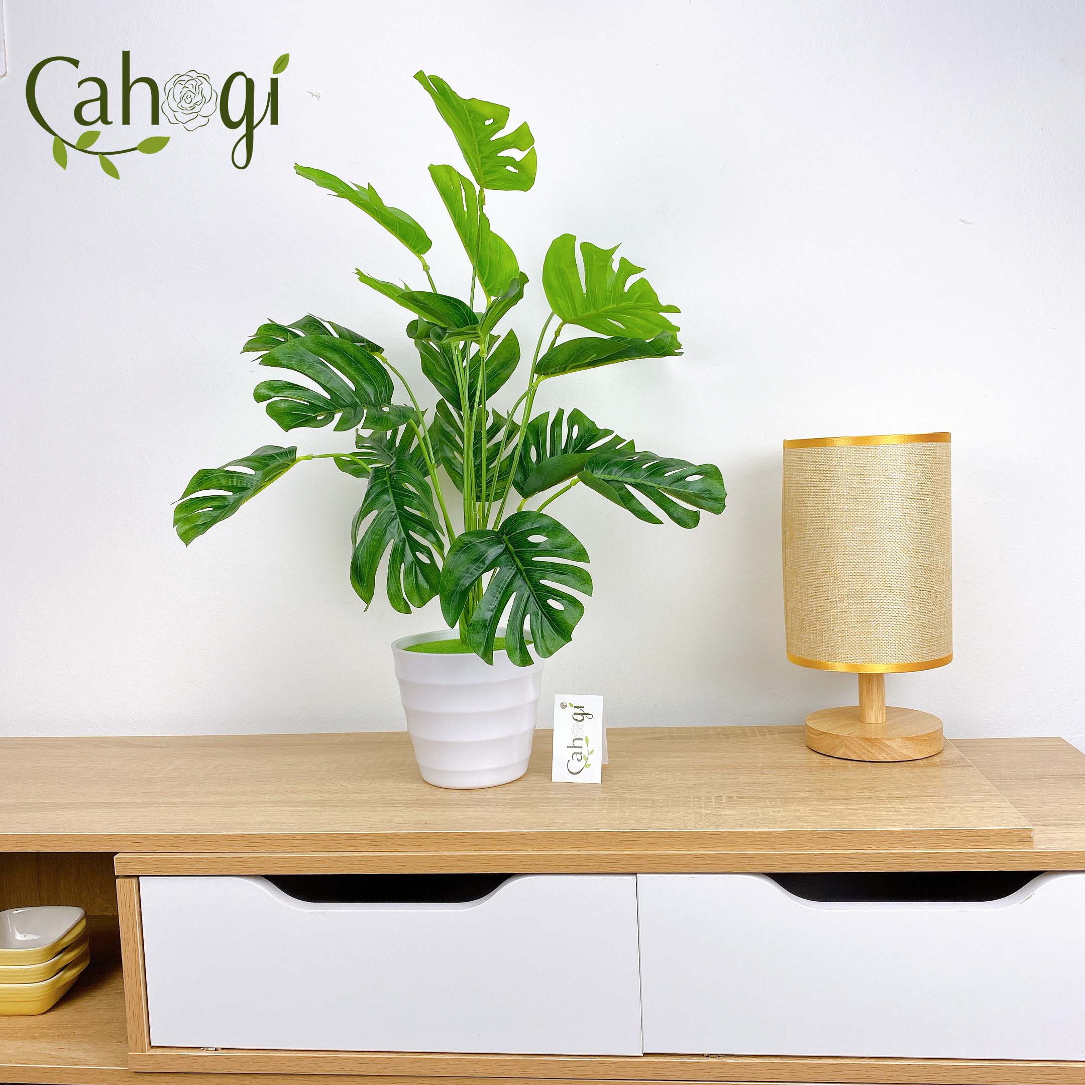 Cây nhựa PVC - Cây Lá Rùa DECOR cỡ lớn (Không Kèm Chậu)