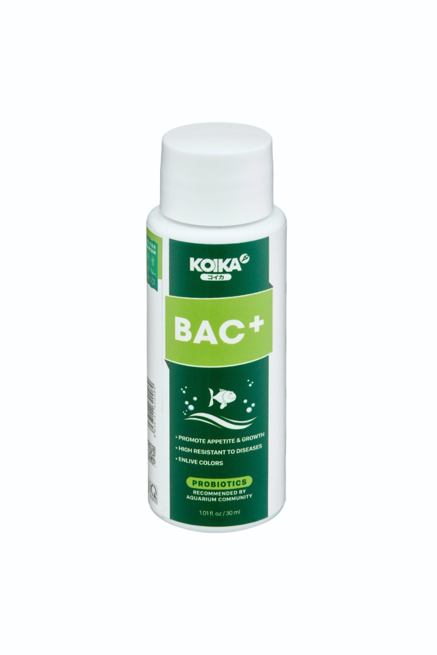 Vi Sinh Tiêu Hóa KOIKA BAC+ 30ML