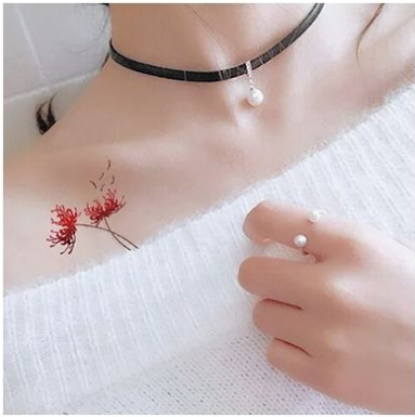 Hình dán cao cấp hoa bỉ ngạn C15 H10