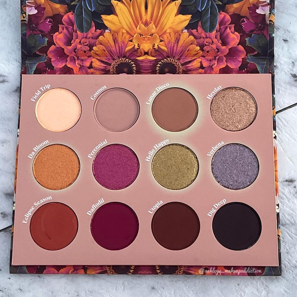 BẢNG PHẤN MẮT 12 Ô MÀU COLOURPOP SONIC BLOOM