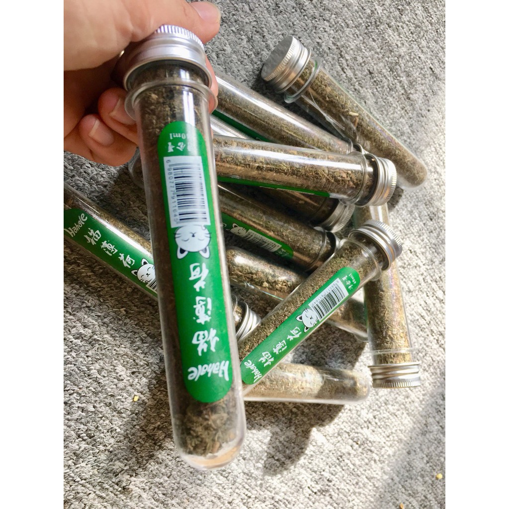CATNIP - bạc hà khô cho mèo - ống