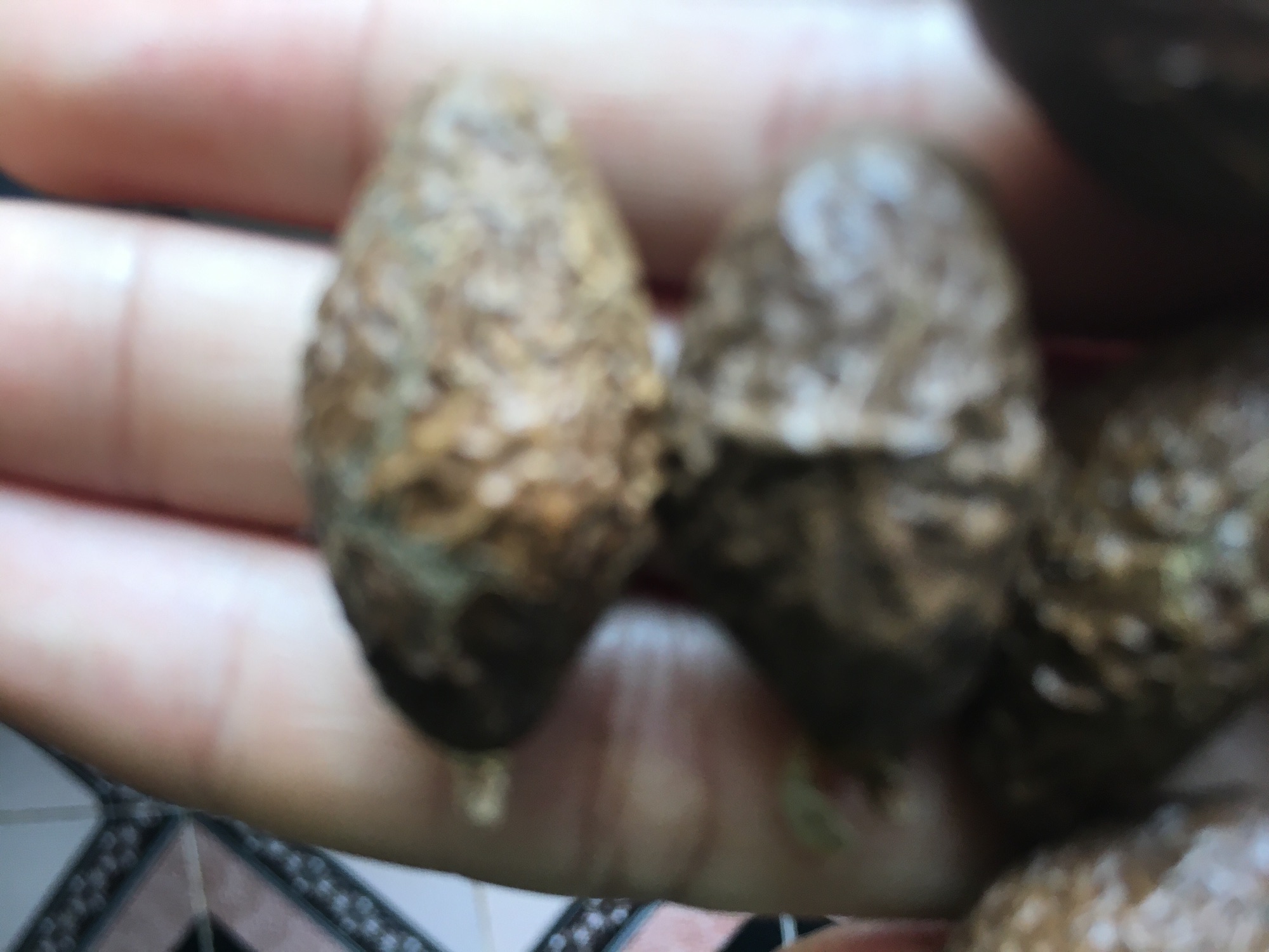 Hạt Đười Ươi trâu 500gram