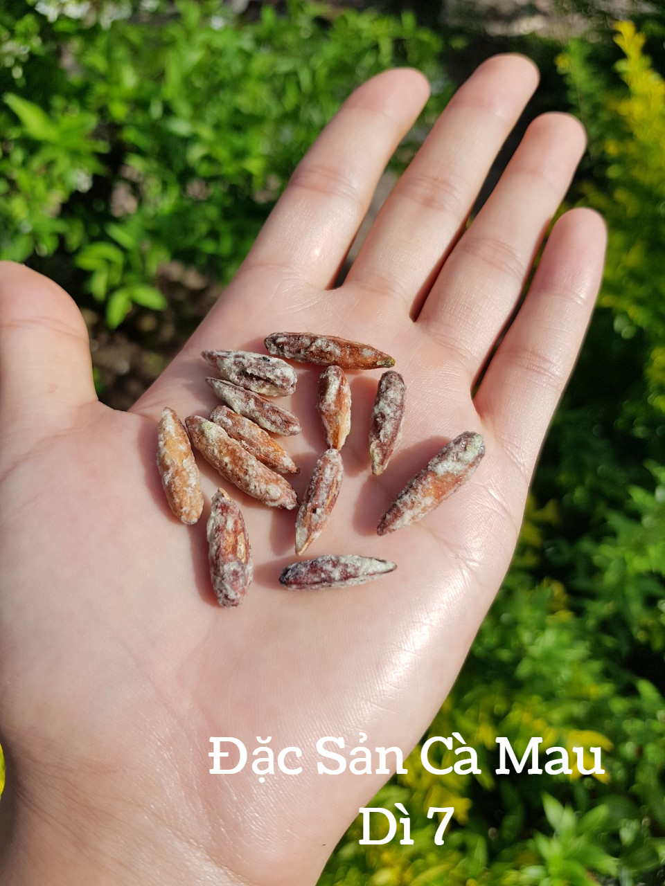 [200Gram] Hạt bàng đặc sản Côn Đảo (vị rang dứa)
