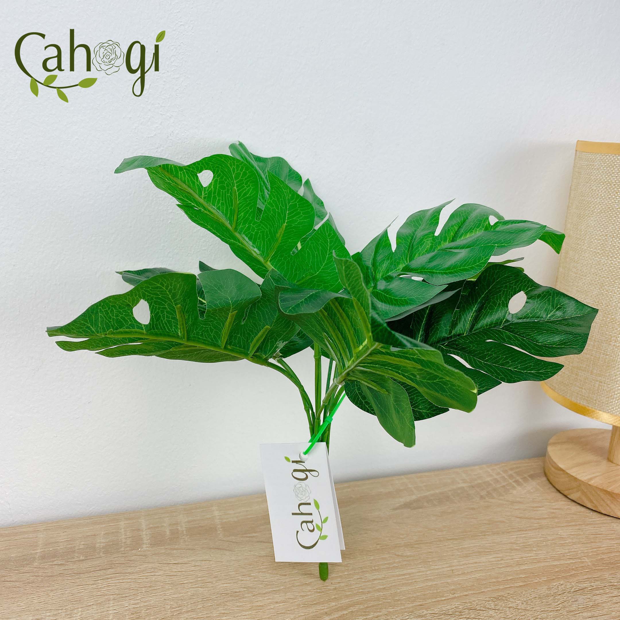 Cây Giả Cây Lá Rùa 30cm