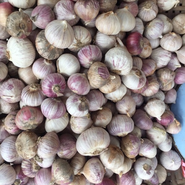 Tỏi cô đơn - mồ côi - thơm ngon đặc biệt Thiên Thảo Organic