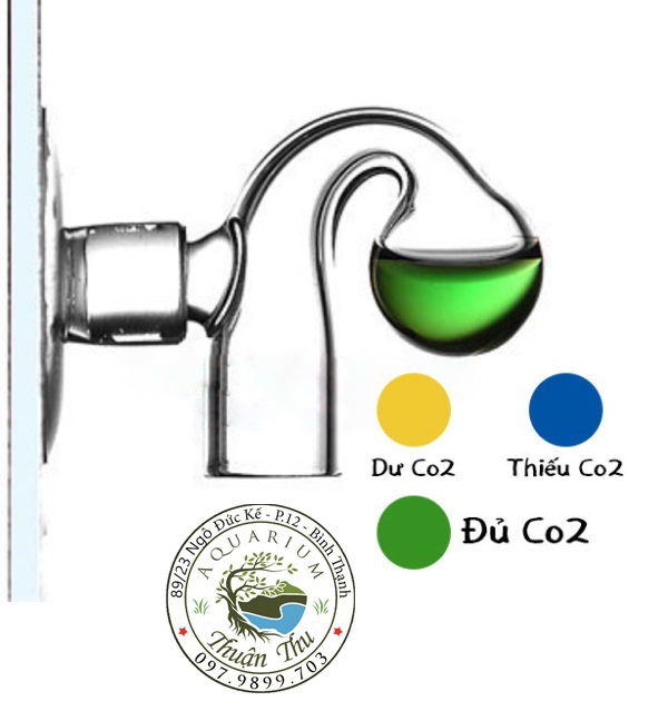 Combo Dung Dịch Kiểm Tra Nồng Độ Co2 ( Test CO2 ) và cốc thủy tnh