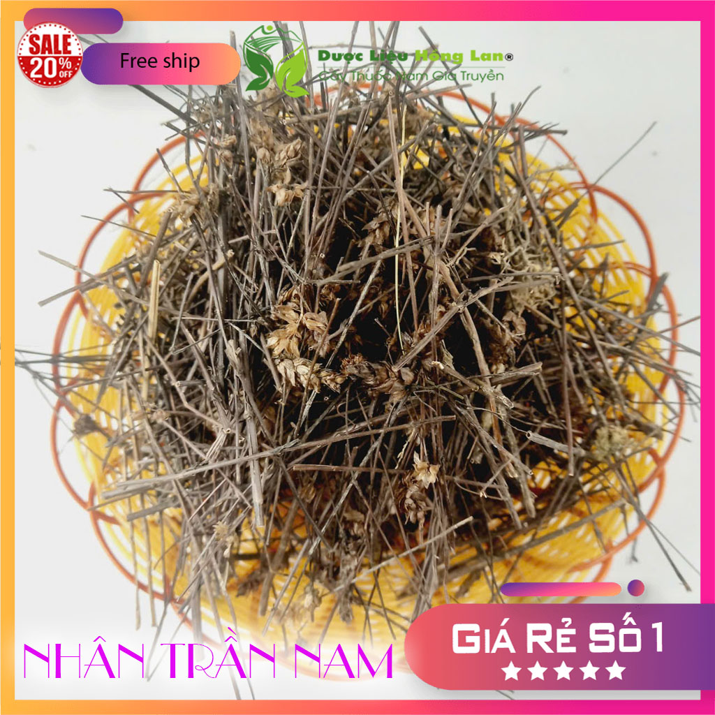 ✅ 1kg Cây Nhân Trần Nam khô sạch