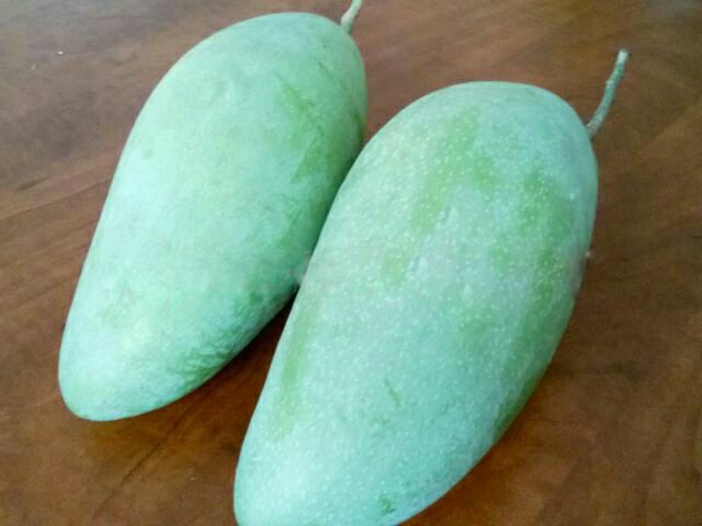Cây xoài thái