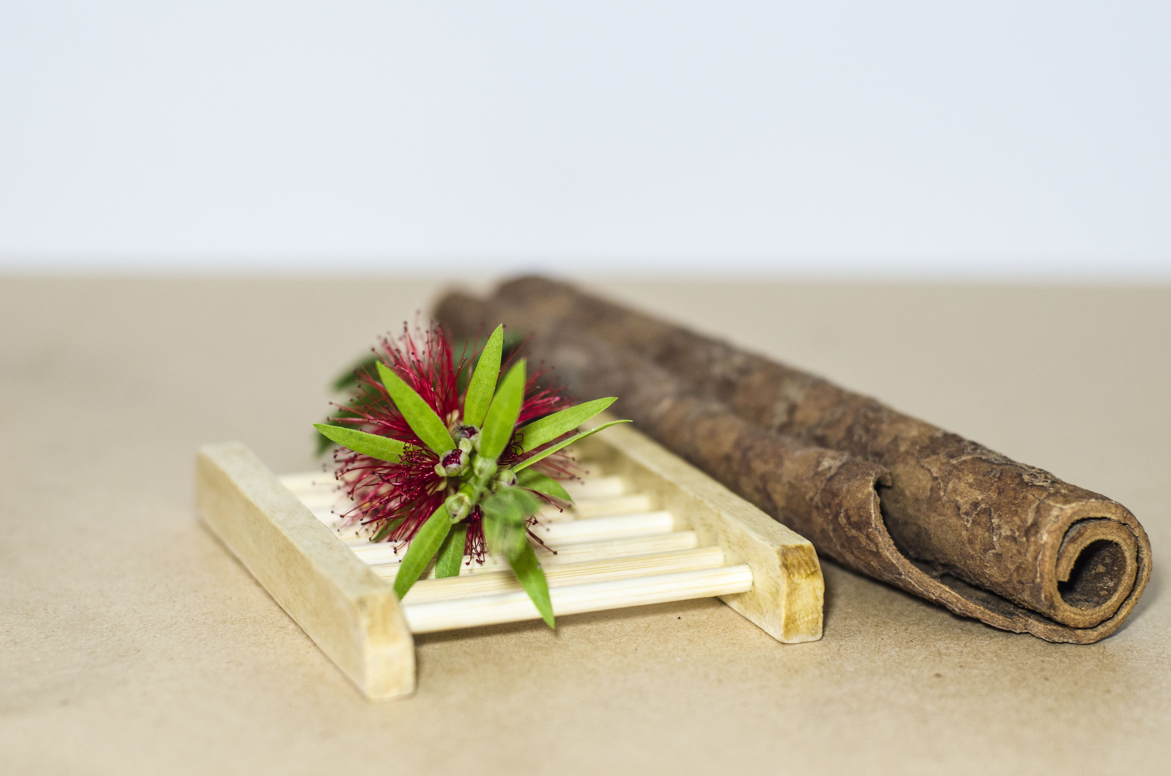 Khay gỗ - Khay đựng xà bông