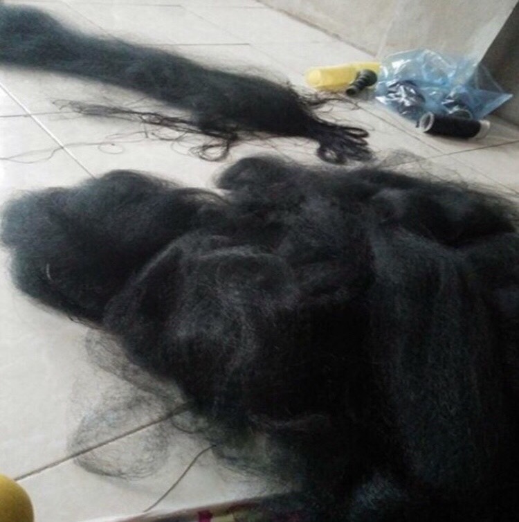 lưới bẫy chim khuyên cao 5m