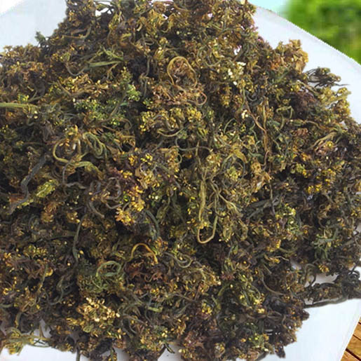Cây dạ cẩm khô 1KG GT088