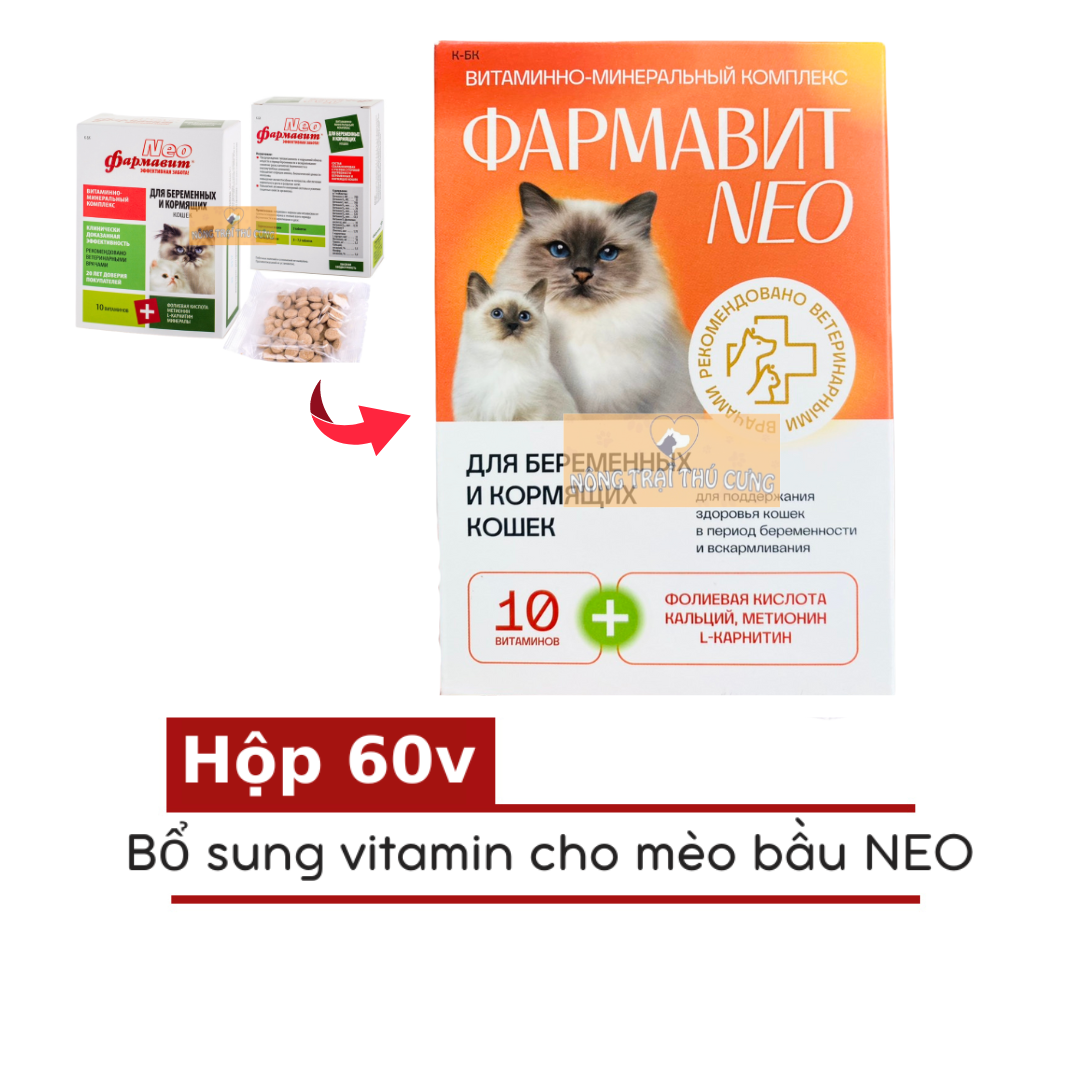Vitamin cho mèo bầu neo 60 viên -