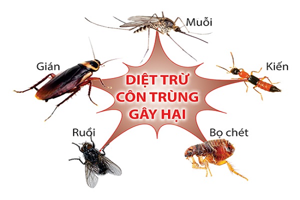 [HCM]Bình Xịt Côn Trùng MOSFLY AIK 600ml