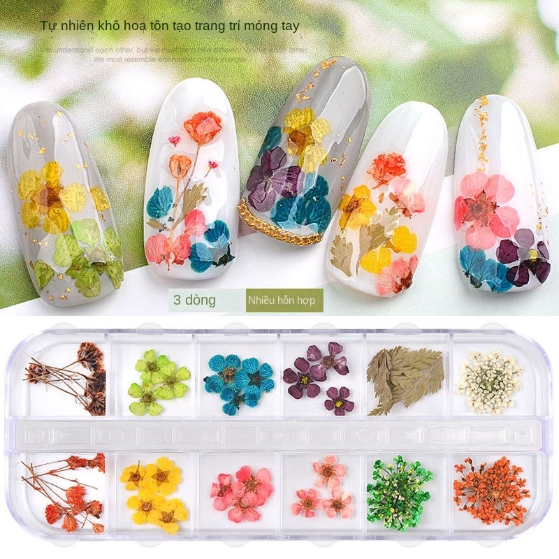 hoa khô nail làm nail dán móng tay