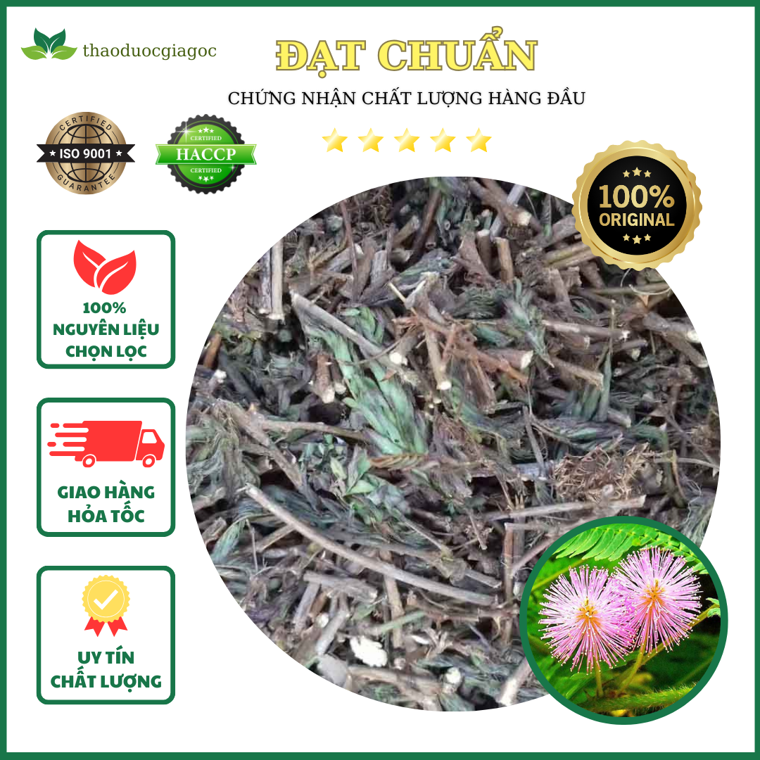 1kg cây xấu hổ khô hàng loại 1