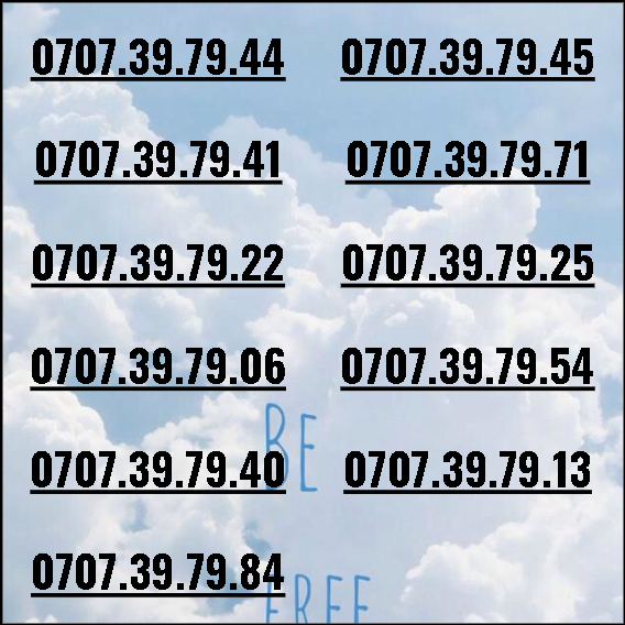 [HCM]Sim thần tài 3979