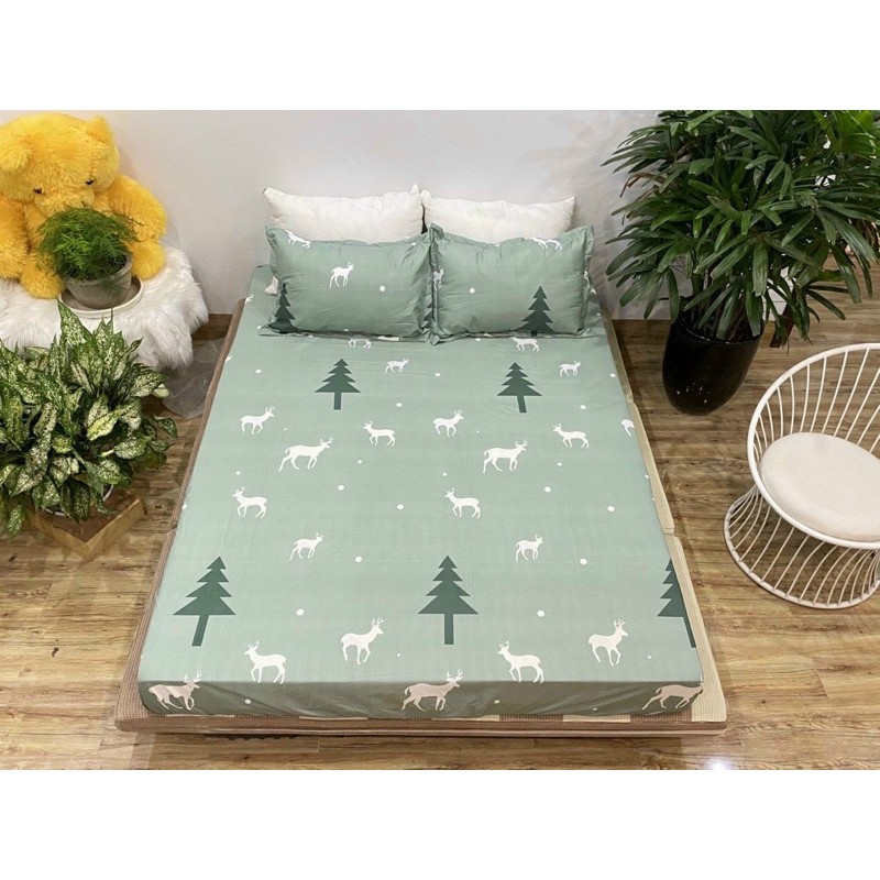 Bộ Ga gối poly cotton
