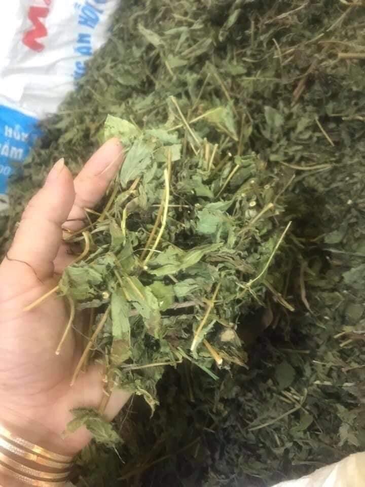 Trà cỏ ngọt 1kg
