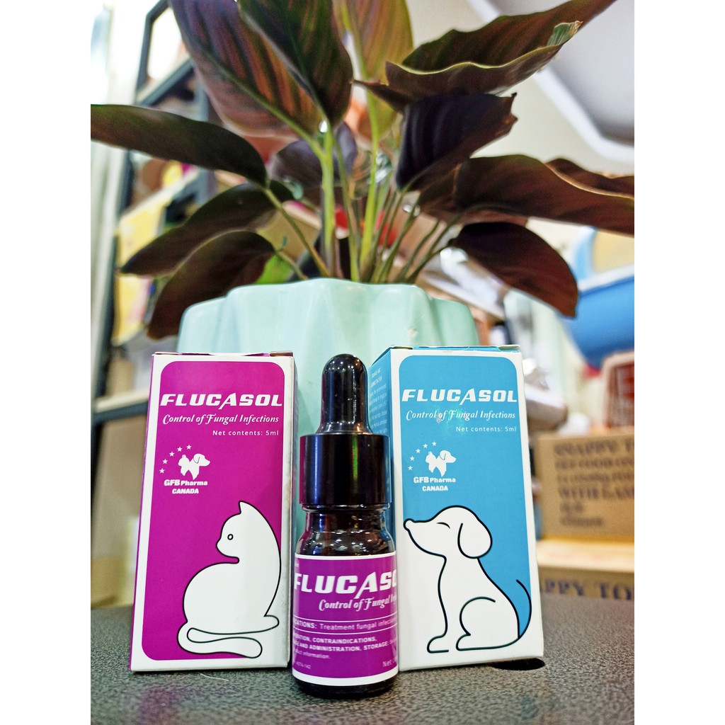 Dung dịch bôi Nấm da cho chó mèo FLUCASOL CANADA chai 5 ml