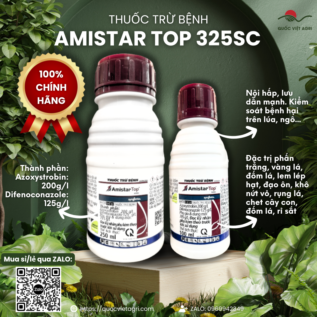 Pesticide Amistar Top 325Sc Syngenta (100ml - 250ml) - Azoxystrobin 200G/L + Difenoconazole 125G/L Treats Powdery Mildew, Seed Rot, Downy Mildew, Leaf Spots, Rust