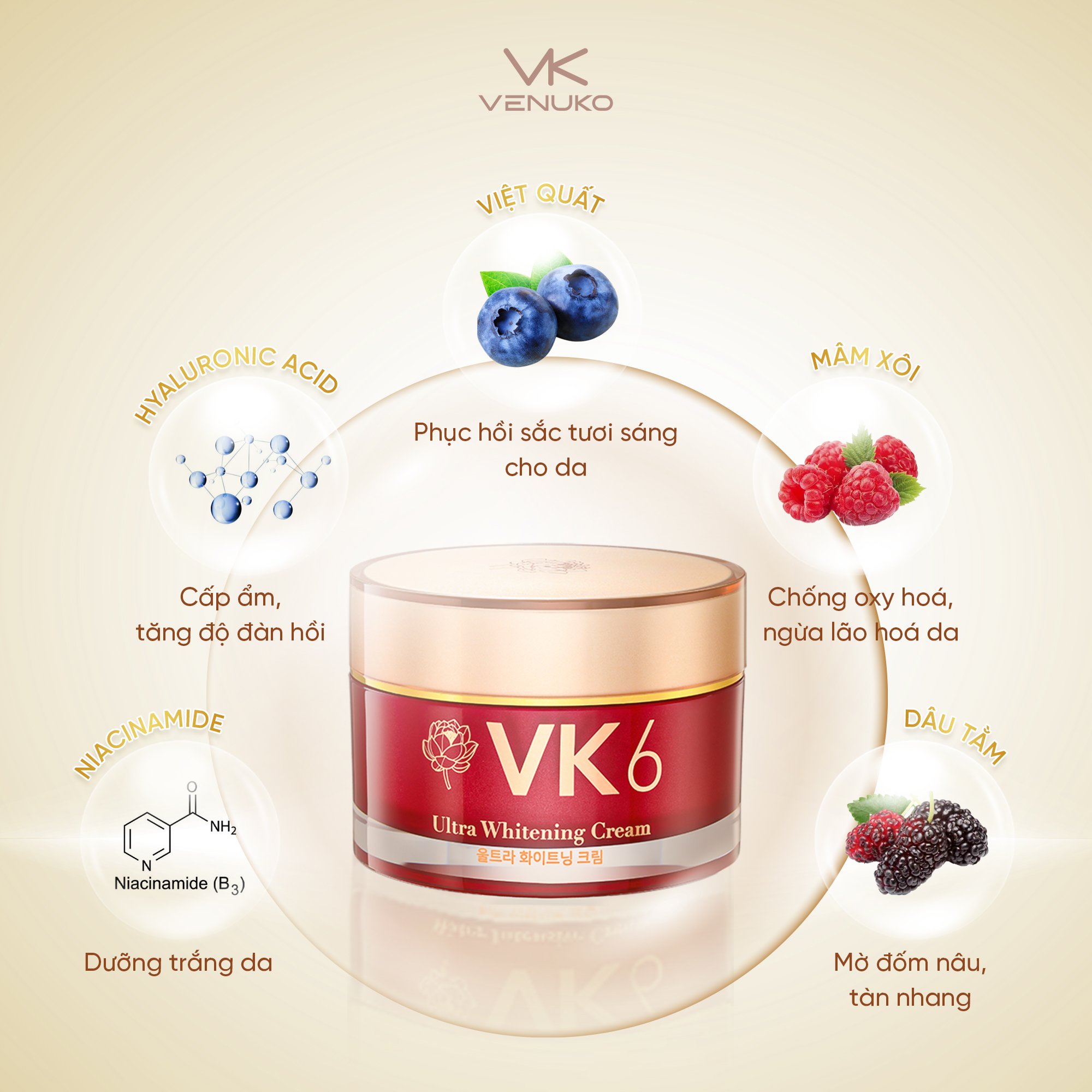 Kem dưỡng trắng nâng tone da VK6