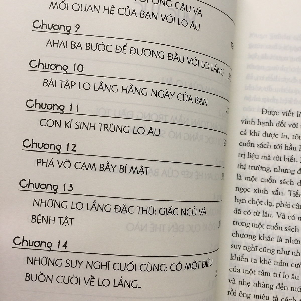 Sách: Trò Bịp Bợm Của Lo Âu - The Worry Trick